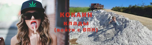 дмт Богородицк