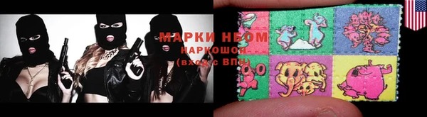 дмт Богородицк