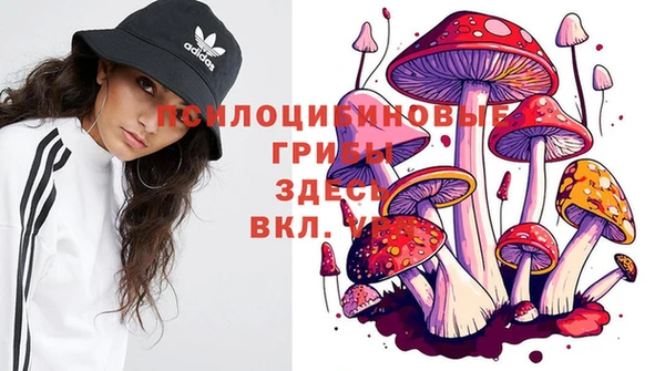 дмт Богородицк