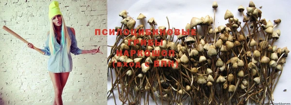 дмт Богородицк