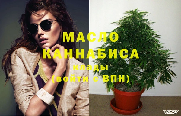 дмт Богородицк
