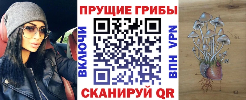 где можно купить наркотик  Видное  Псилоцибиновые грибы прущие грибы 